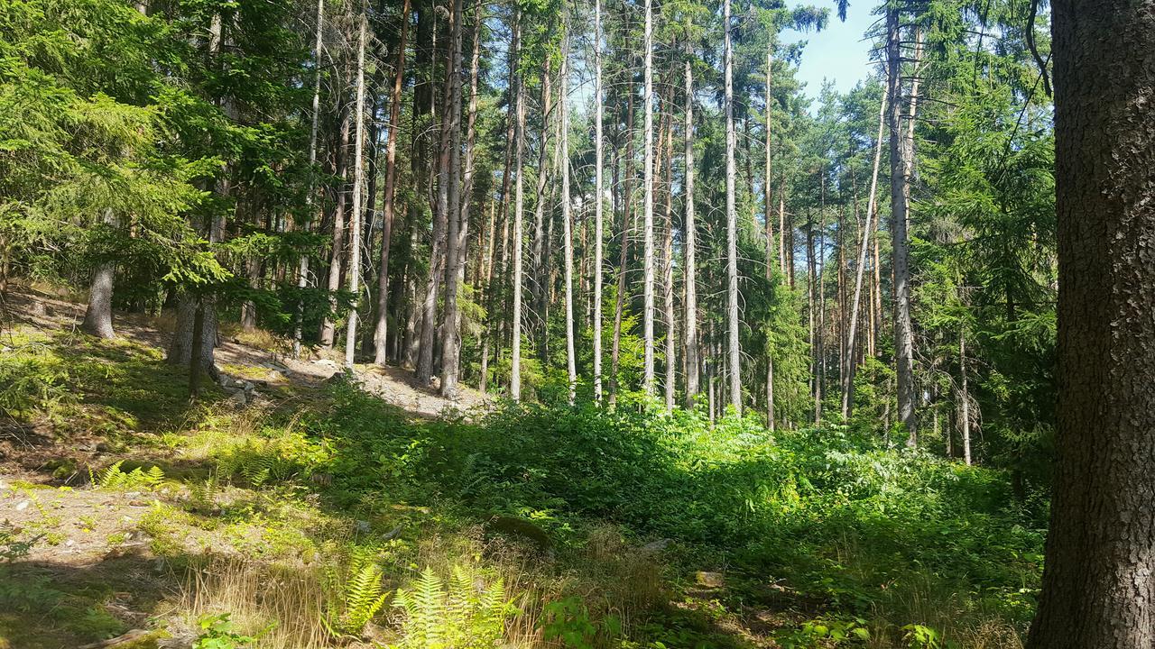 Malebna Chalupa U Javorniku Na Sumave Vacov Exterior photo